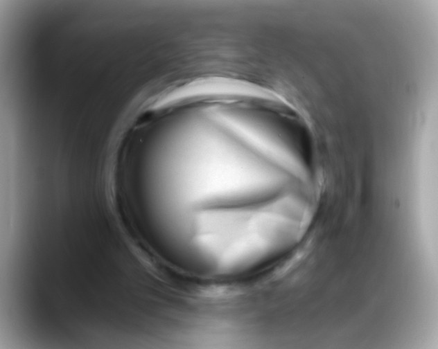 X0000088040101200706011331