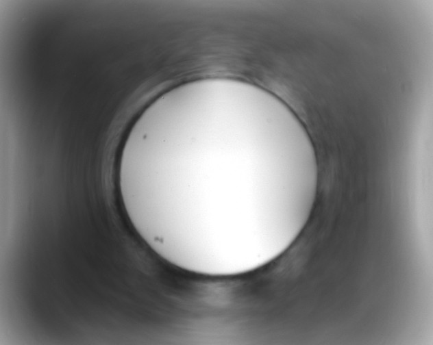 X0000088040103200706011331