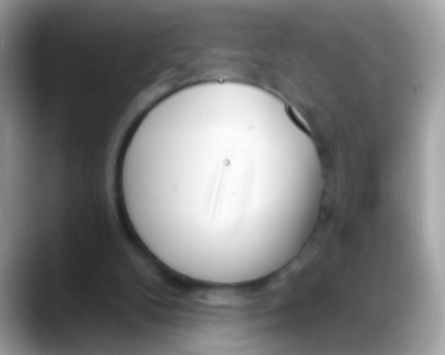 X0000088040104200706011331