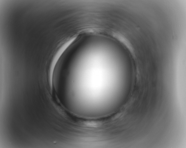 X0000088040105200706011331