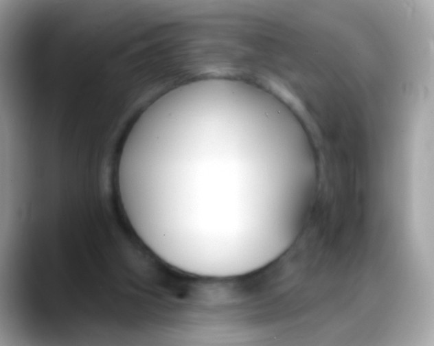 X0000088040106200706011331