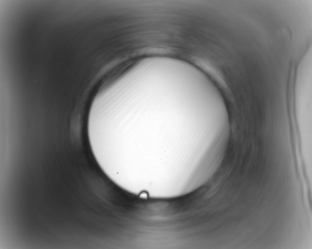 X0000088040108200706011331