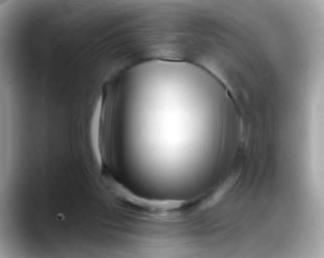 X0000088040109200706011331