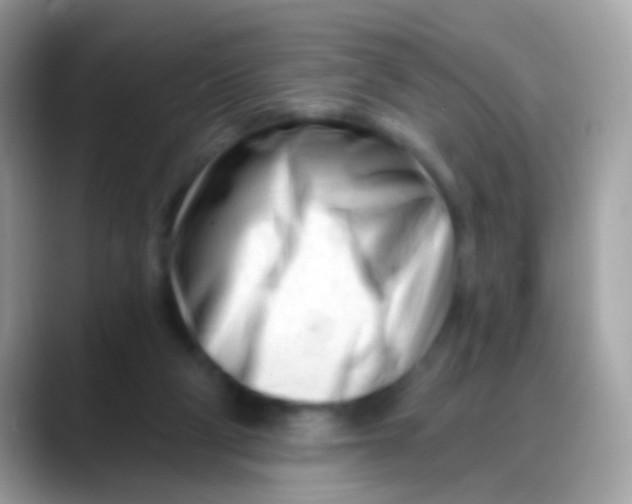 X0000088040114200706011331