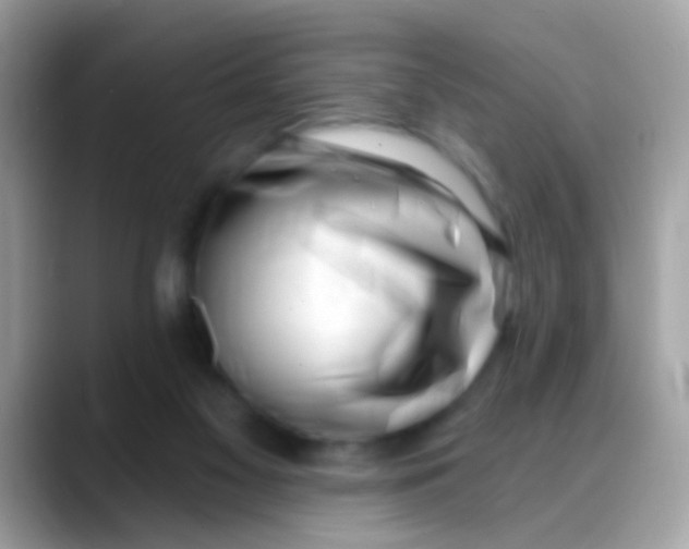 X0000088040117200706011331