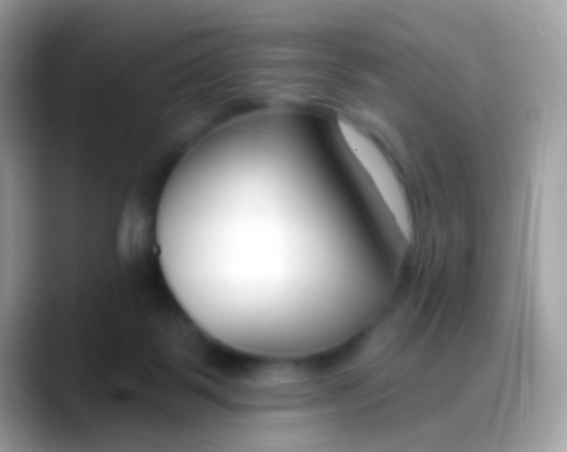 X0000088040123200706011331