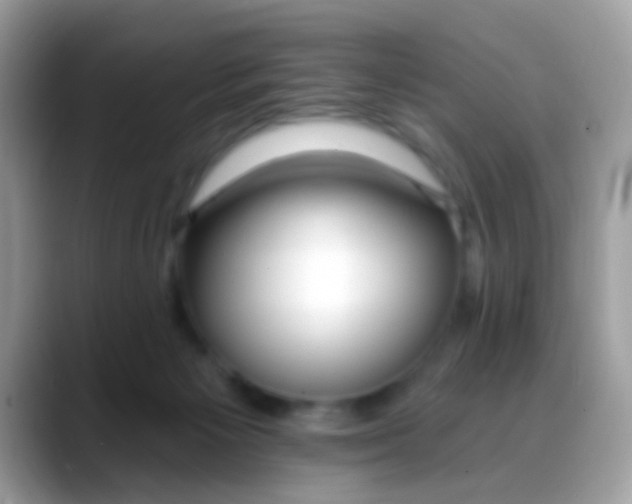 X0000088040125200706011331