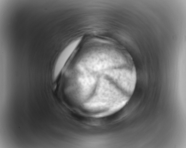 X0000088040127200706011331