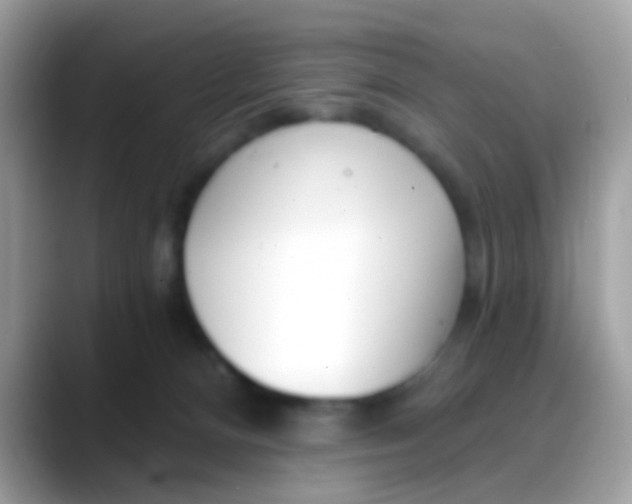 X0000088040128200706011331