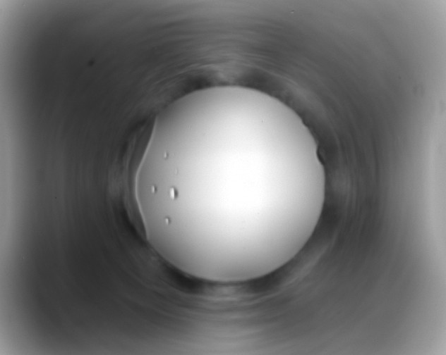 X0000088040129200706011331