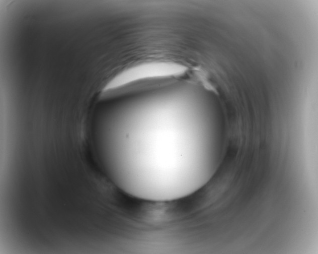 X0000088040131200706011331