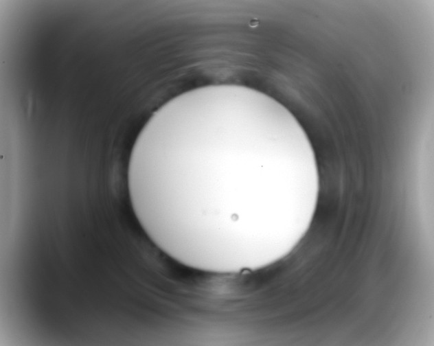 X0000088040136200706011331