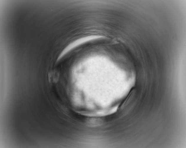 X0000088040137200706011331