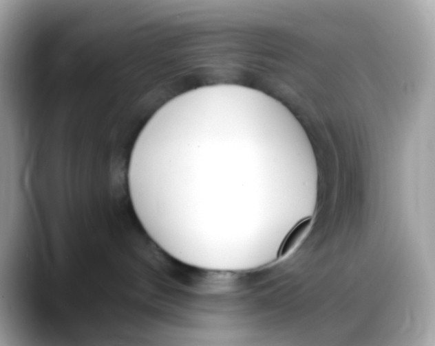 X0000088040144200706011331