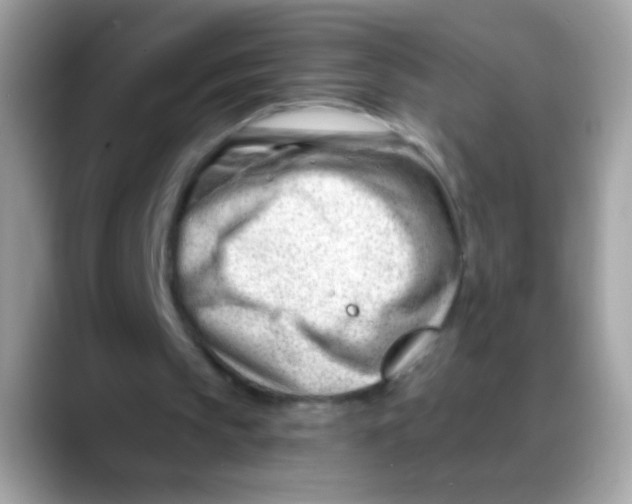 X0000088040145200706011330