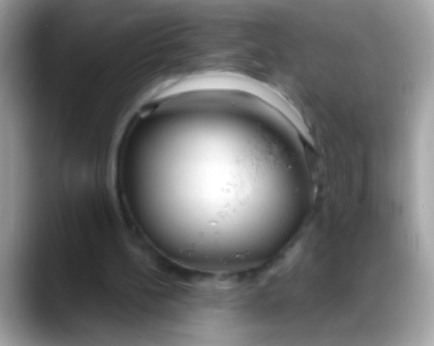 X0000088040148200706011330