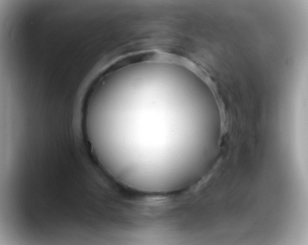 X0000088040150200706011330