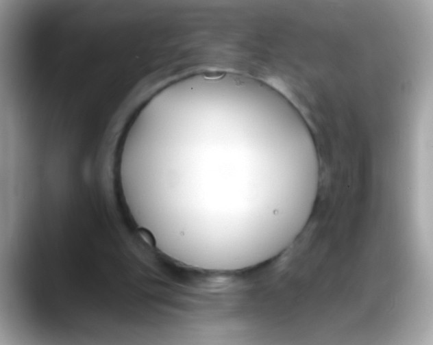 X0000088040151200706011330