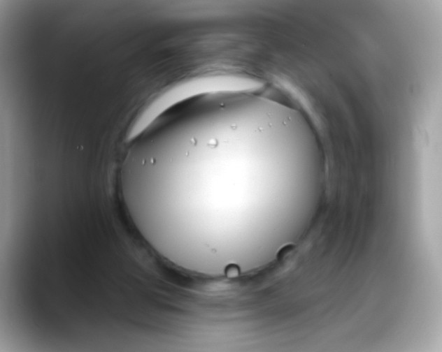 X0000088040153200706011330