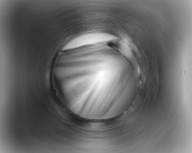 X0000088040154200706011330