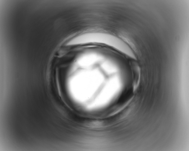 X0000088040156200706011330