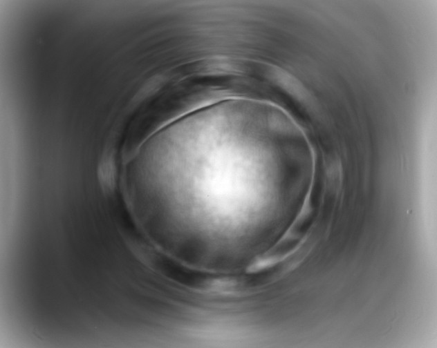 X0000088040158200706011330