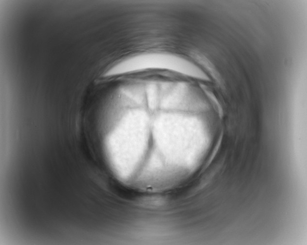 X0000088040161200706011330