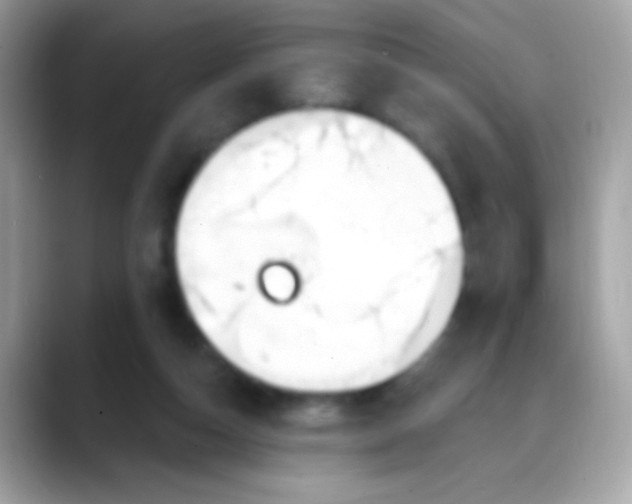 X0000088040162200706011330