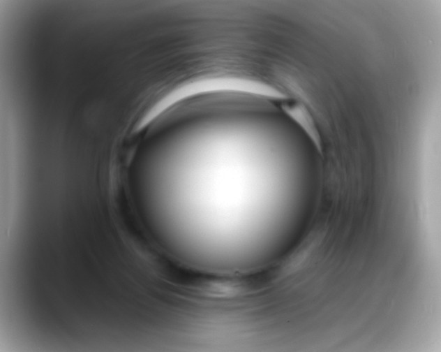 X0000088040164200706011330