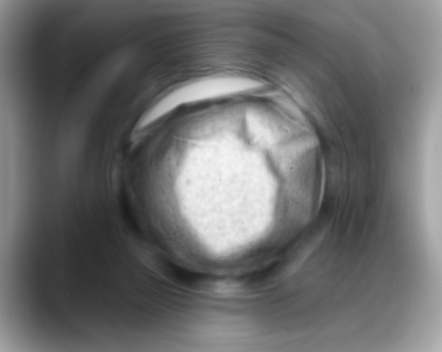 X0000088040165200706011330