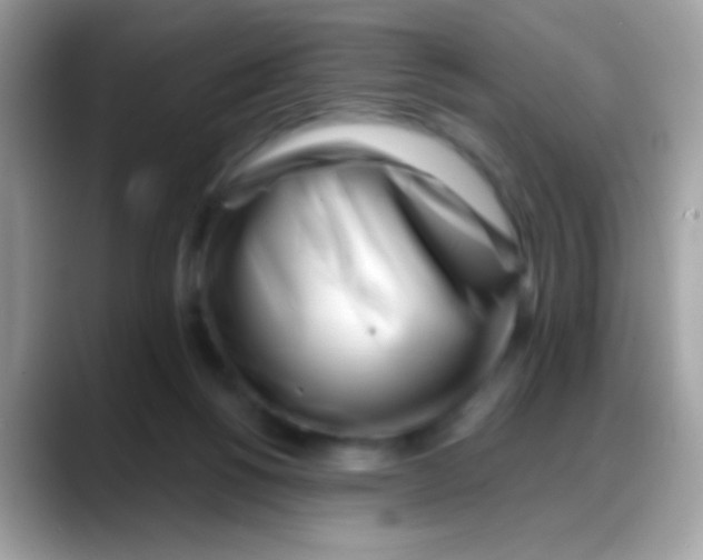 X0000088040168200706011330