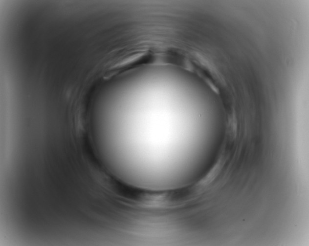 X0000088040170200706011330