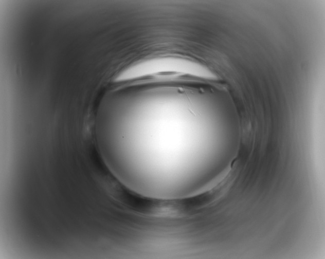 X0000088040175200706011330