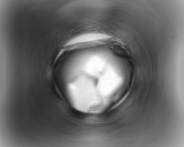 X0000088040177200706011330