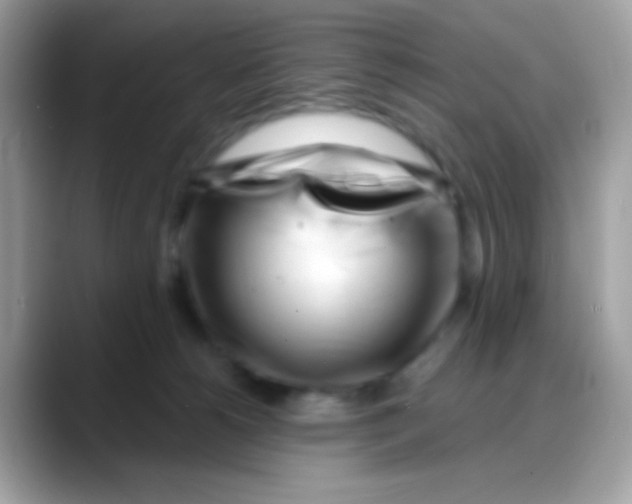 X0000088040180200706011330