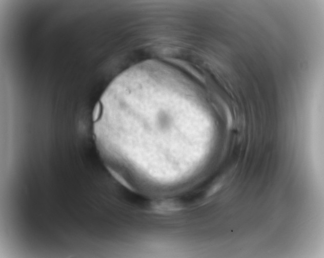 X0000088040181200706011330