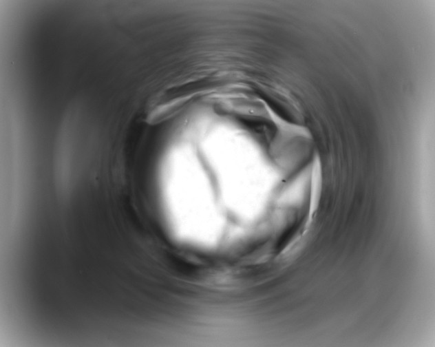 X0000088040182200706011330