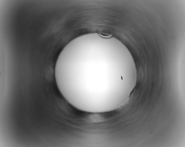 X0000088040183200706011330