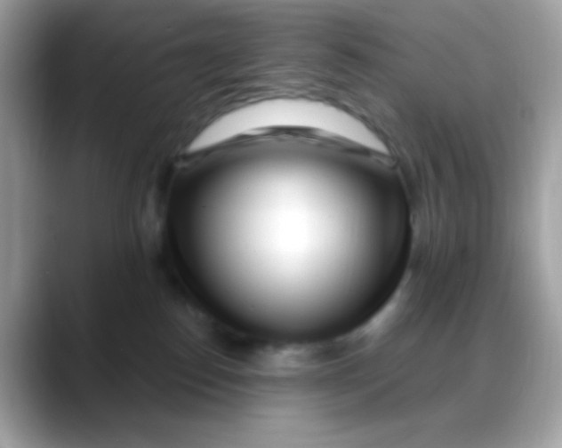 X0000088040186200706011331