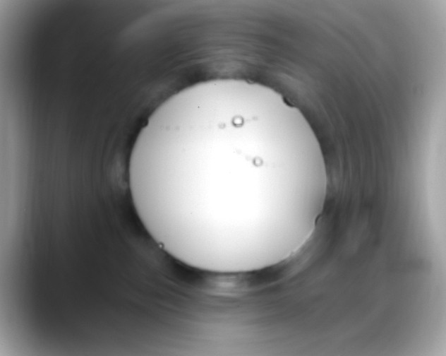 X0000088040187200706011331