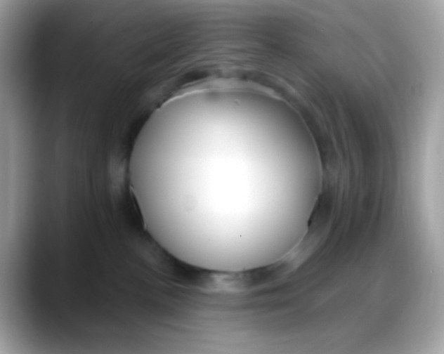 X0000088040188200706011331