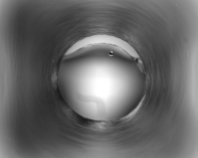 X0000088040190200706011331