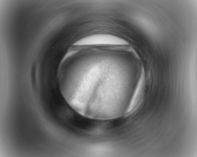 X0000088040191200706011331