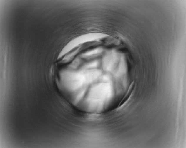 X0000088040192200706011331