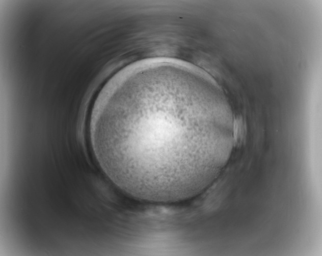 X0000088040195200706011330