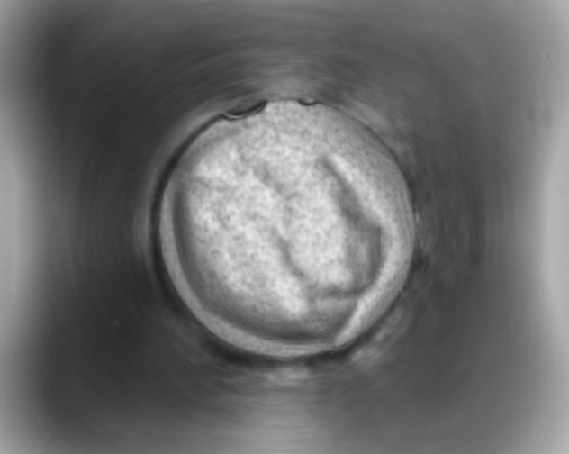 X0000088040196200706011330