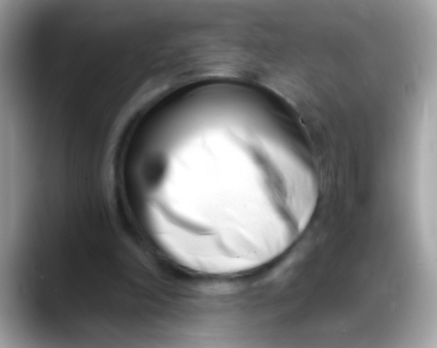 X0000088040198200706011330