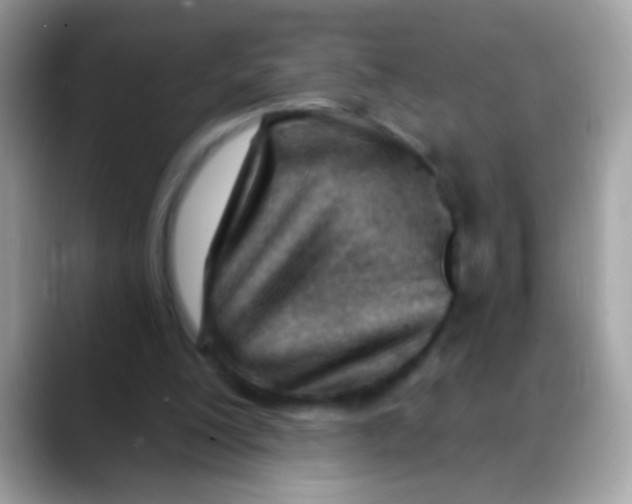 X0000088040200200706011330