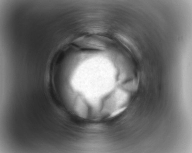 X0000088040202200706011330