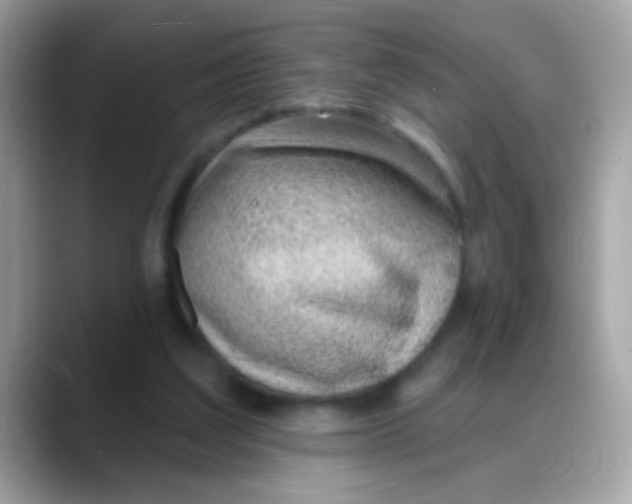 X0000088040203200706011330